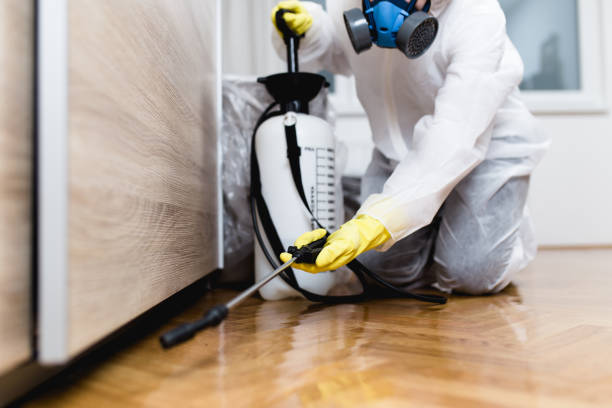 Best Pest Inspection Near Me  in August, CA