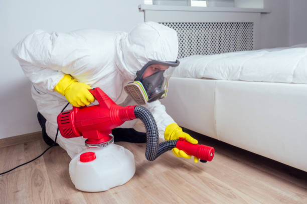 Best Affordable Pest Control Services  in August, CA