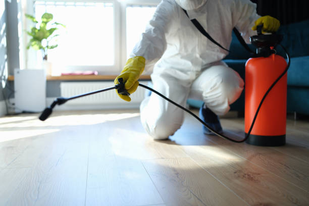 Best Pest Removal Services  in August, CA