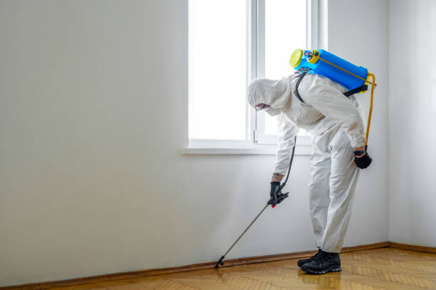 Best Ant Control Services  in August, CA