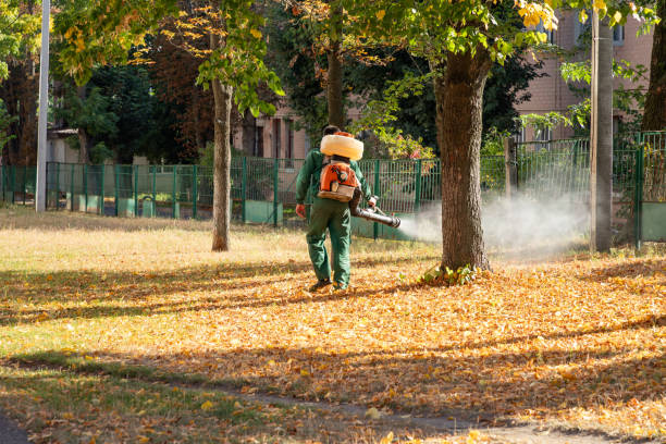Best Commercial Pest Control Services  in August, CA