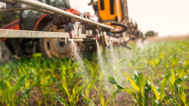 Best Pest Control for Businesses  in August, CA